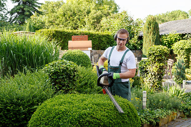 Best Storm Damage Tree Cleanup  in Rigby, ID